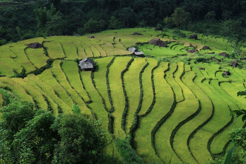 Sapa, Vietnam